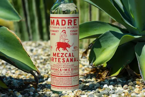 Flaska mezcal artesanal bland agaveplantor