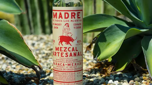 En flaska mezcal bland agaveplantor